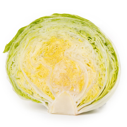 Lettuce Thunderinas RZ (45-IC1067) Knox Untreated Seeds