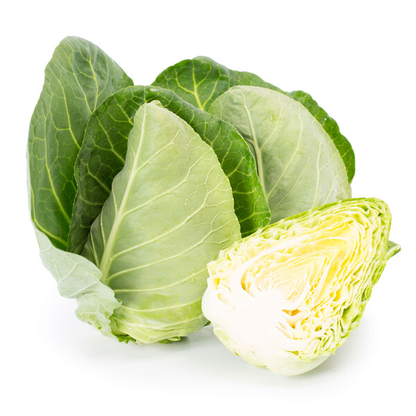 Cabbage Tourima RZ F1 (30-252) Untreated Seeds