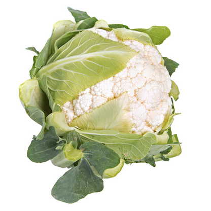 Cauliflower Tramont RZ F1 (26-407) Untreated Seeds