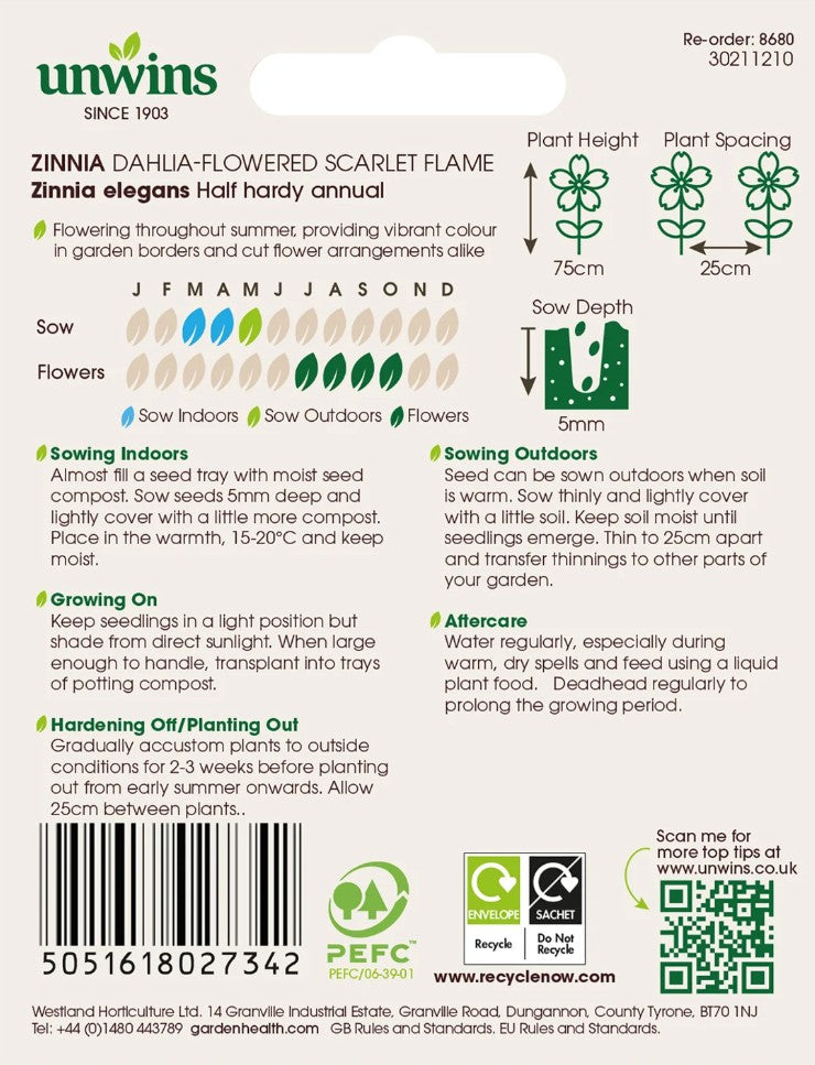 Unwins Zinnia Dahlia-Flowered Scarlet Flame 75 Seeds – Large Double Blooms