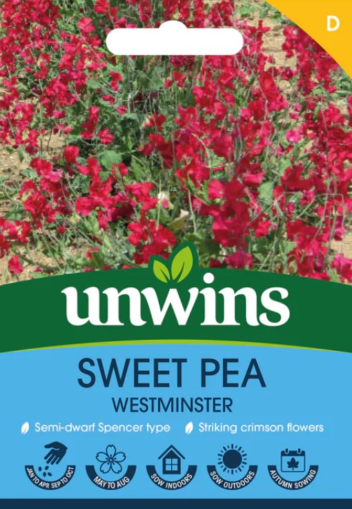 Unwins Flower Sweet Pea Westminster - 11 Seeds