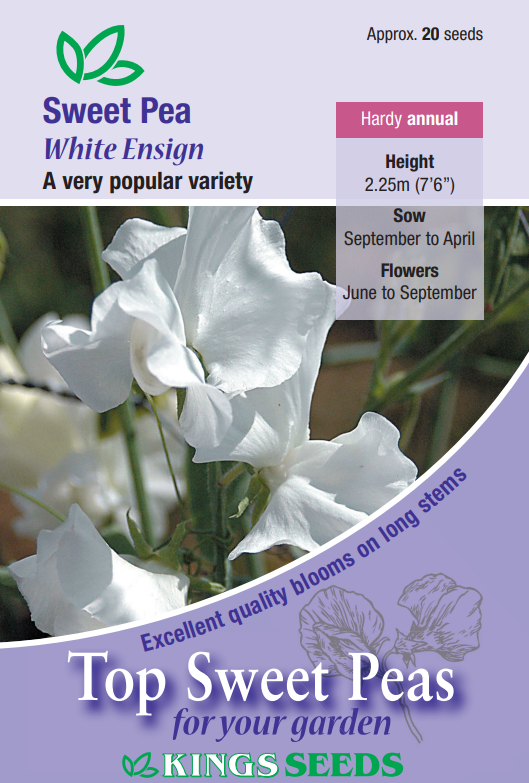 Kings Seeds Sweet Pea White Ensign 20 Seeds - Reduced Short Sow By Date Sept 2024