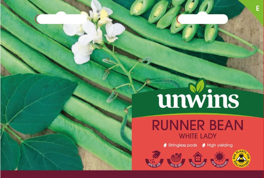 Unwins Runner Bean White Lady Seeds – Stringless High Yield