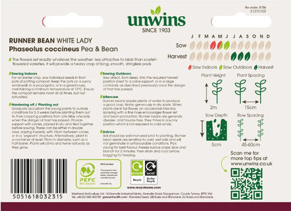 Unwins Runner Bean White Lady Seeds – Stringless High Yield
