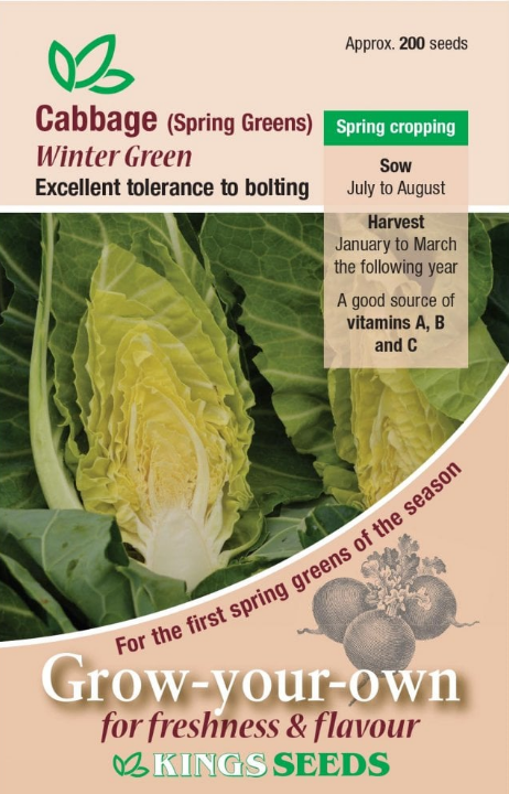 Kings Seeds Cabbage (Spring Greens) Winter Green Seeds