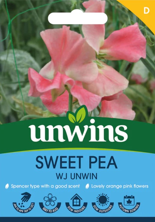 Unwins Flower Sweet Pea WJ Unwin - 11 Seeds