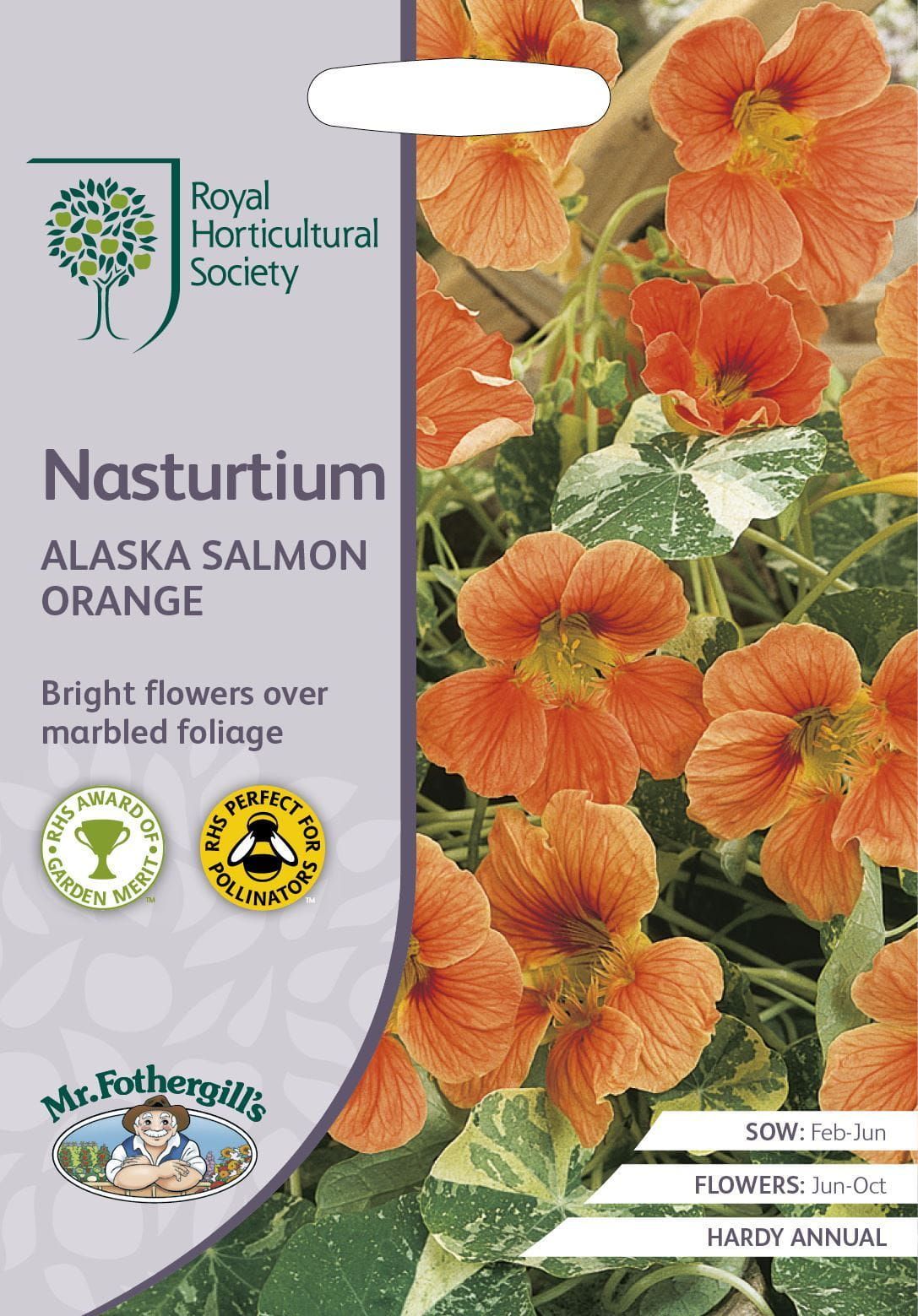 Mr Fothergills RHS Nasturtium Alaska Salmon Orange 25 Seeds