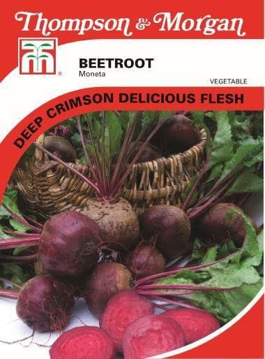 Thompson & Morgan Vegetables Beetroot Moneta 150 Seed