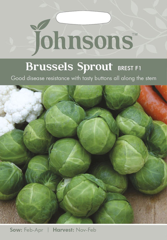Johnsons Brussels Sprout Brest F1 40 Seeds