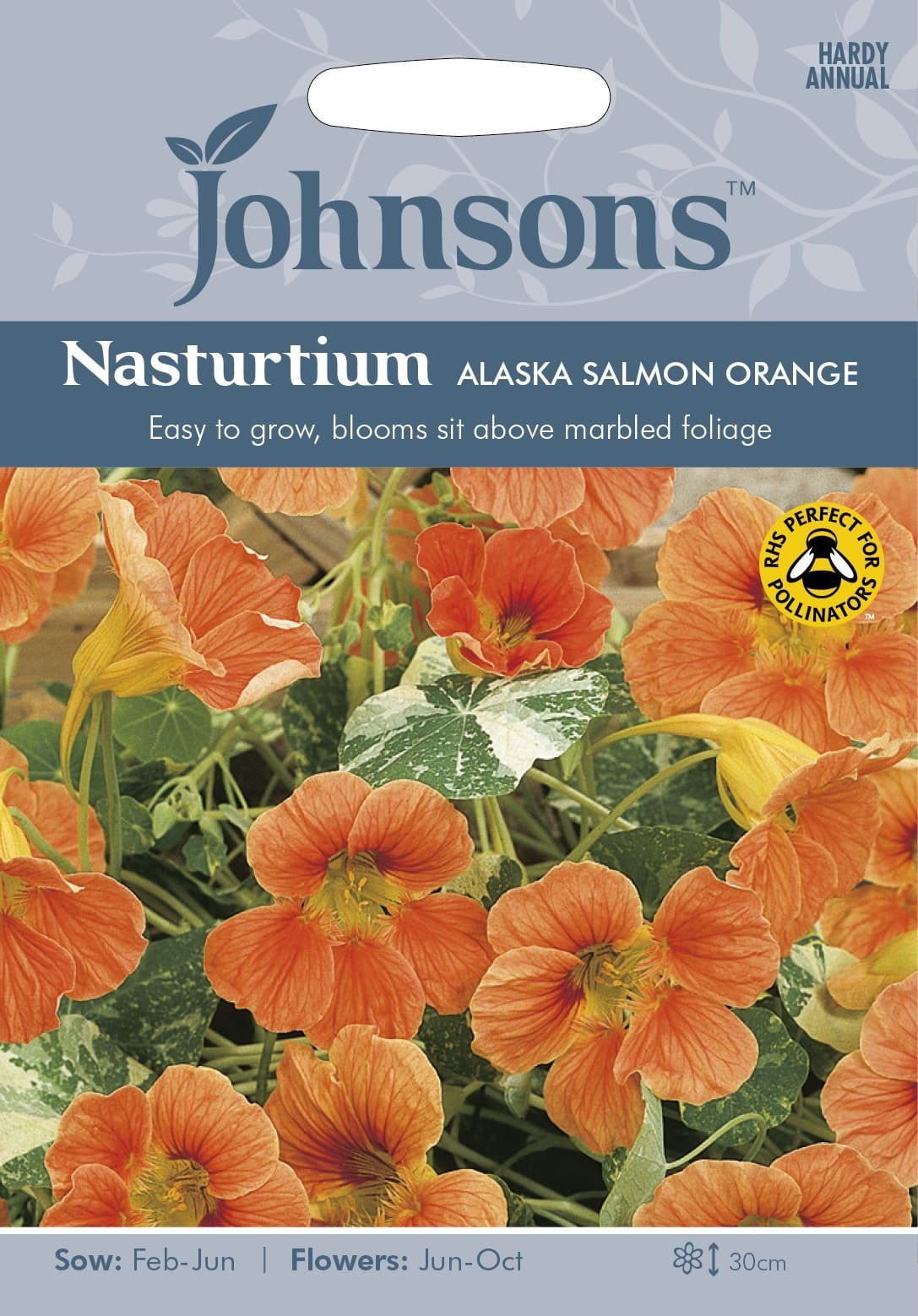 Johnsons Nasturtium Alaska Salmon Orange 25 Seeds