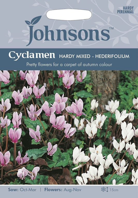Johnsons Cyclamen Hardy Mixed 12 Seeds