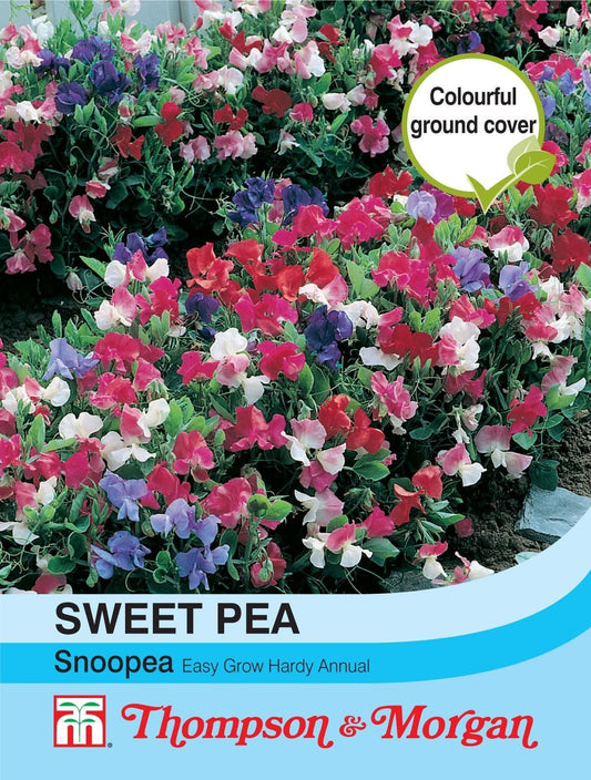 Thompson & Morgan Sweet Pea Snoopea 30 Seed