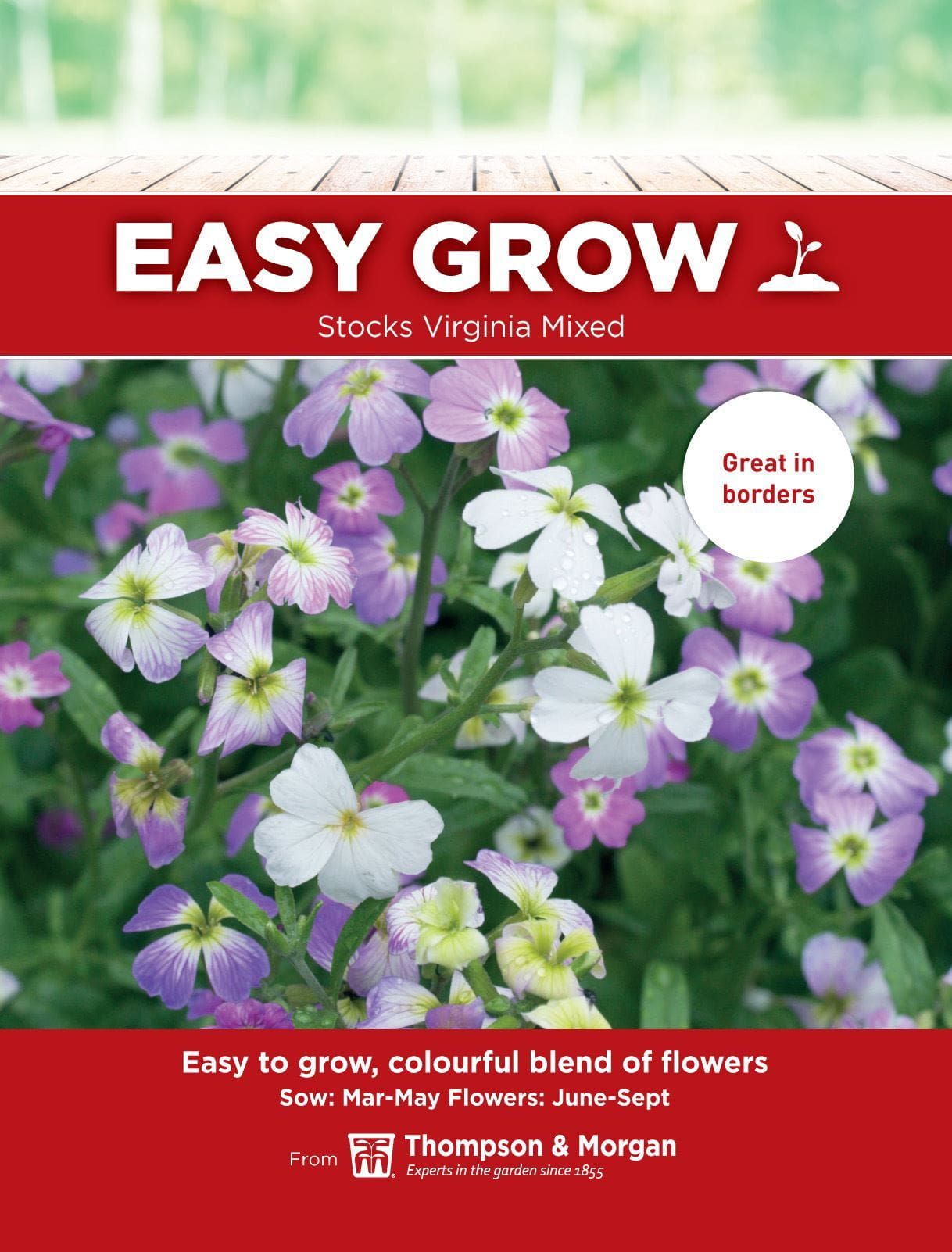 Thompson & Morgan - EasyGrow - Flower - Stocks - Virginia Mixed - 750 Seeds