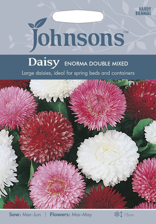 Johnsons Daisy Enorma Double Mixed 250 Seeds