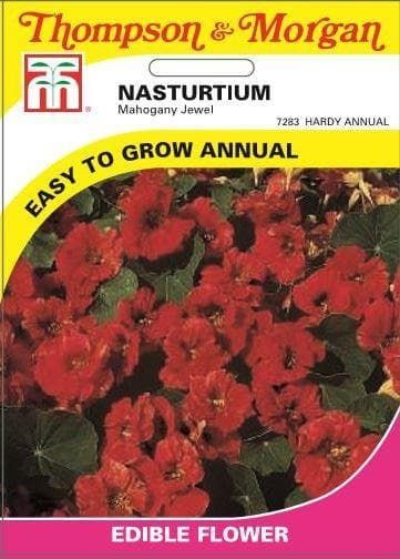 Thompson & Morgan Nasturtium Mahogany Jewel 25 Seed