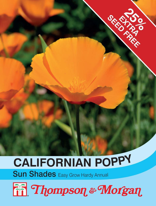 Thompson & Morgan Californian Poppy Sun Shades Seed