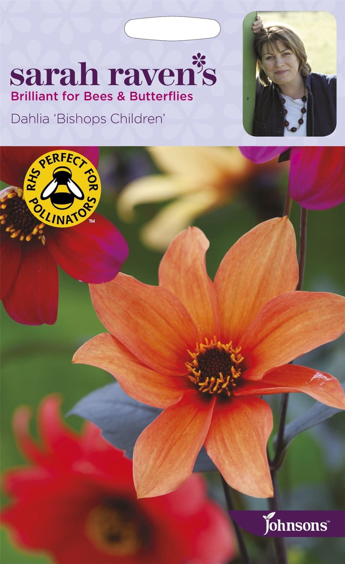 Johnsons Sarah Raven's Dahlia Bishops Children 40 Seeds