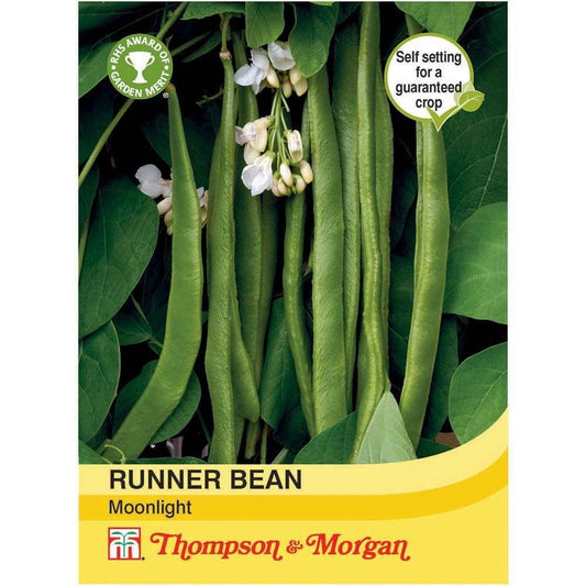 Thompson & Morgan Runner Bean Moonlight 40 Seed