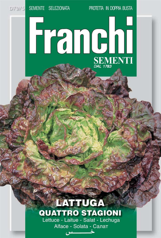 Franchi Seeds of Italy Lettuce Quattro Stagioni Seeds