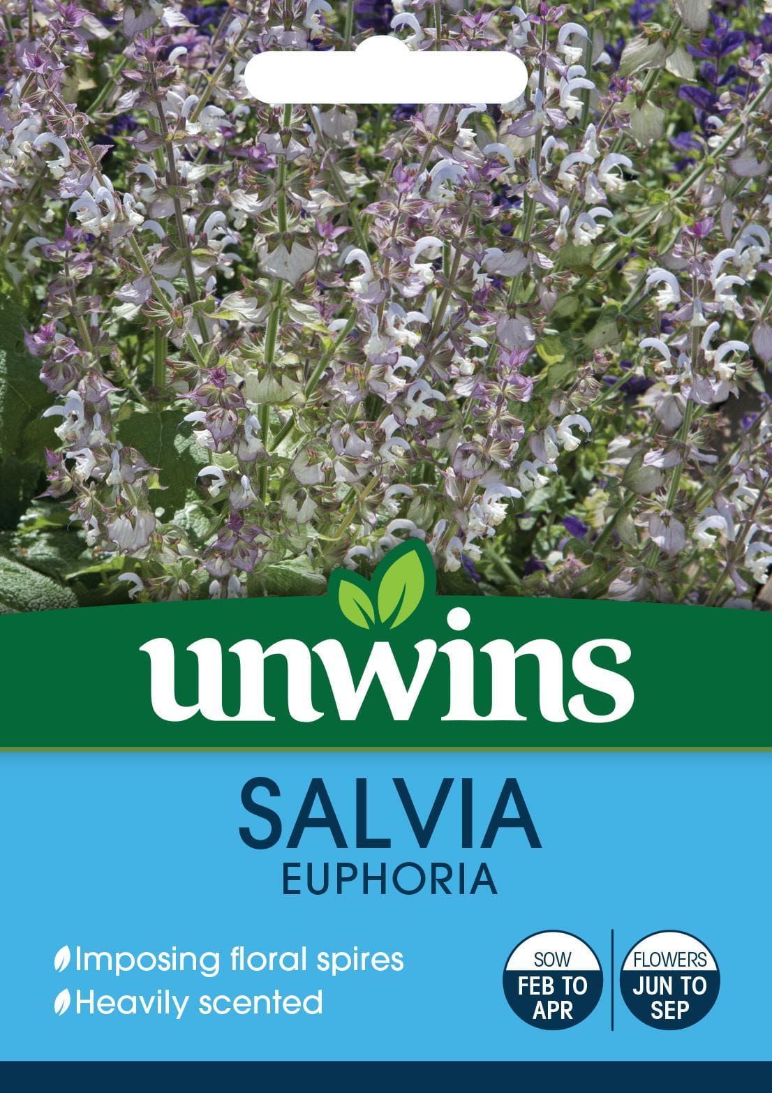 Unwins Salvia Euphoria 100 Seeds