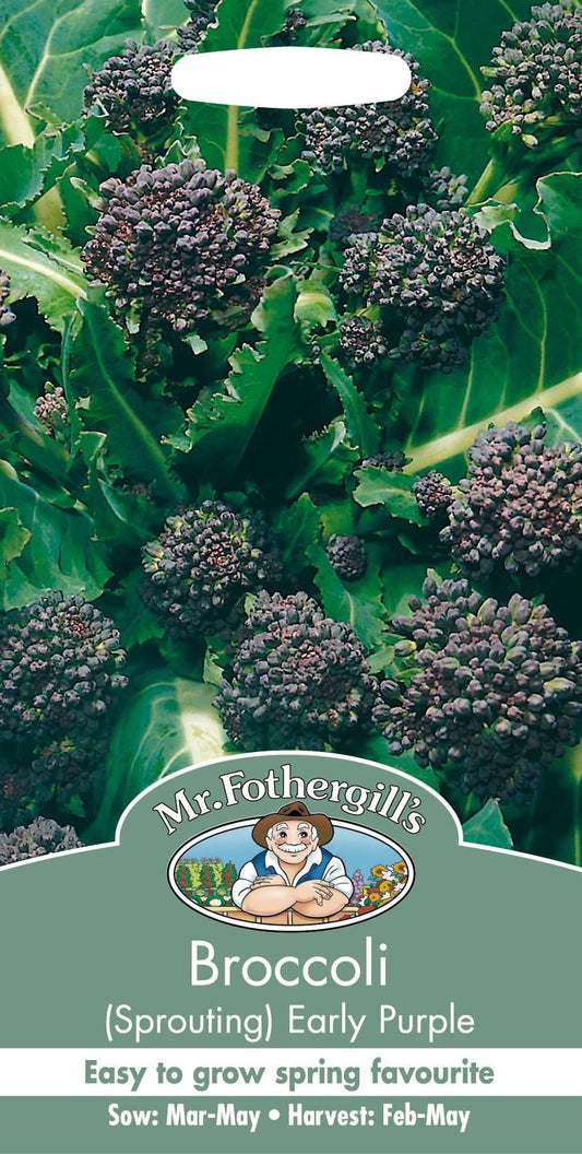 Mr Fothergills Broccoli Early Purple Sprouting 500 Seeds