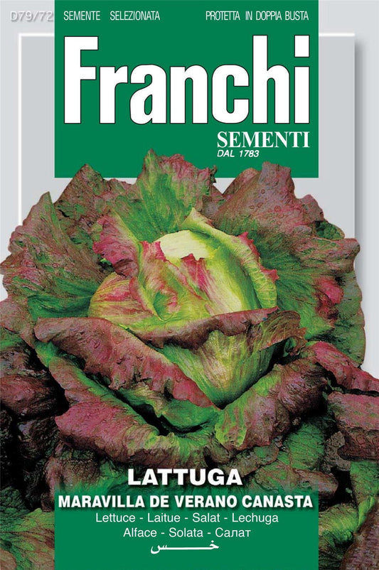 Franchi Seeds of Italy Lettuce Canasta Seeds