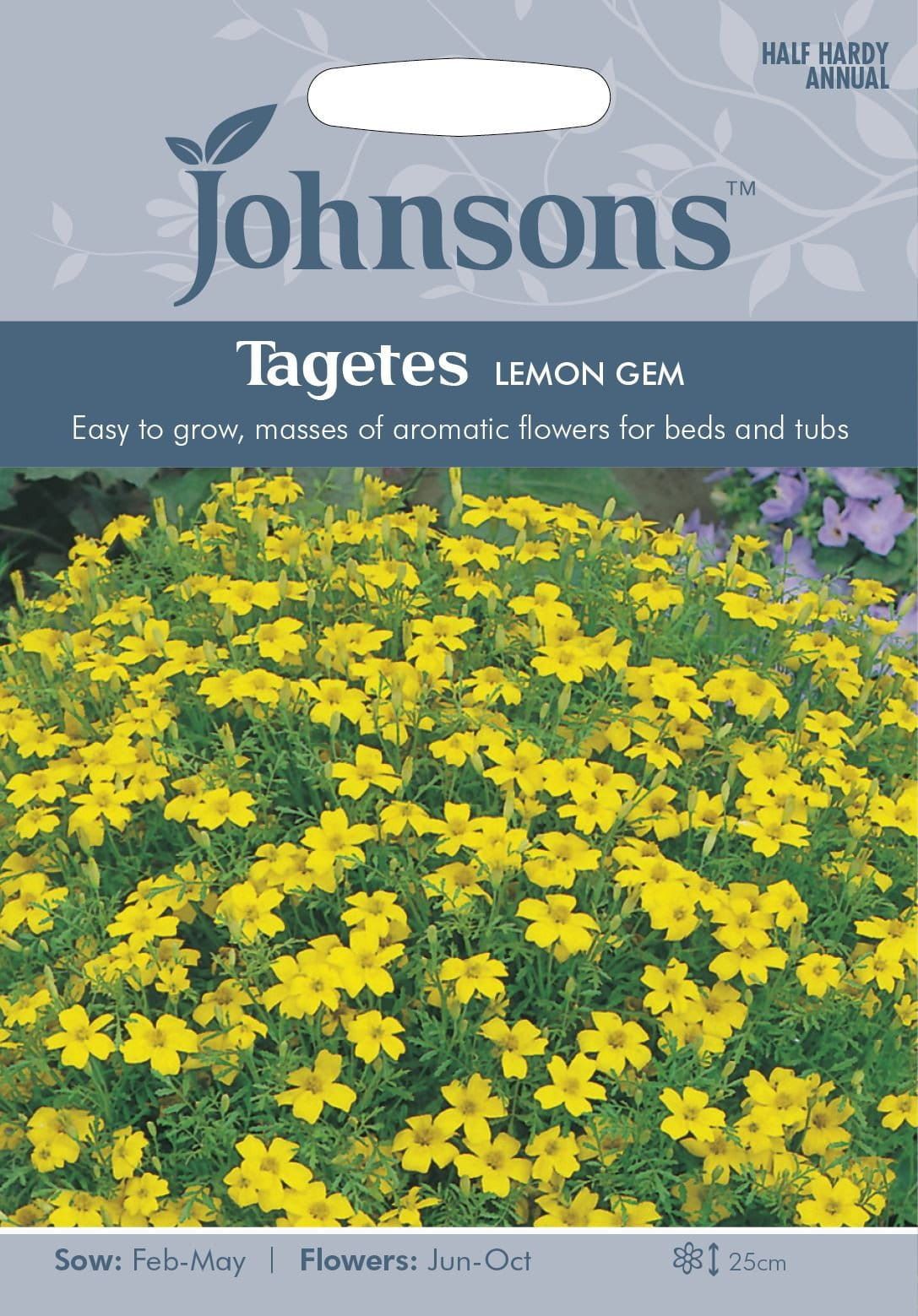 Johnsons Tagetes Lemon Gem 150 Seeds