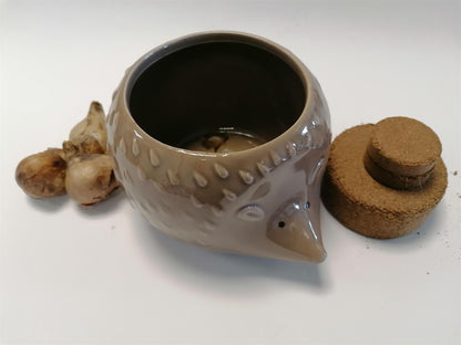 Taylors - Novelty Hedgehog Planter
