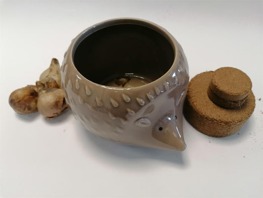 Taylors - Novelty Hedgehog Planter