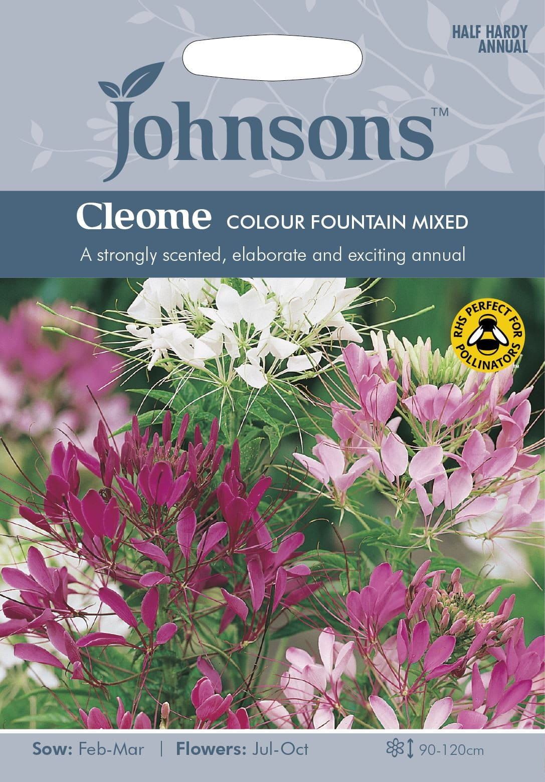 Johnsons Cleome Colour Fountain Mixed 250 Seeds