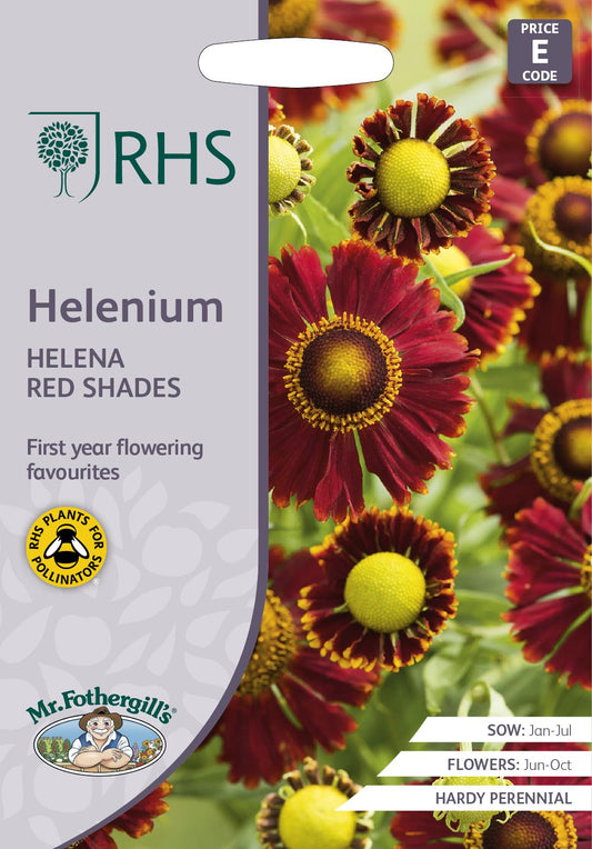 Mr Fothergills - RHS - Flower - Helenium - Helena Red Shades - 50 Seeds