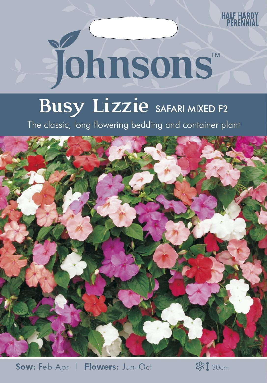 Johnsons Busy Lizzie Safari Mixed F2 50 Seeds