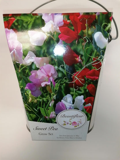 Beautifleur - Sweet Pea Metal planter Seeds