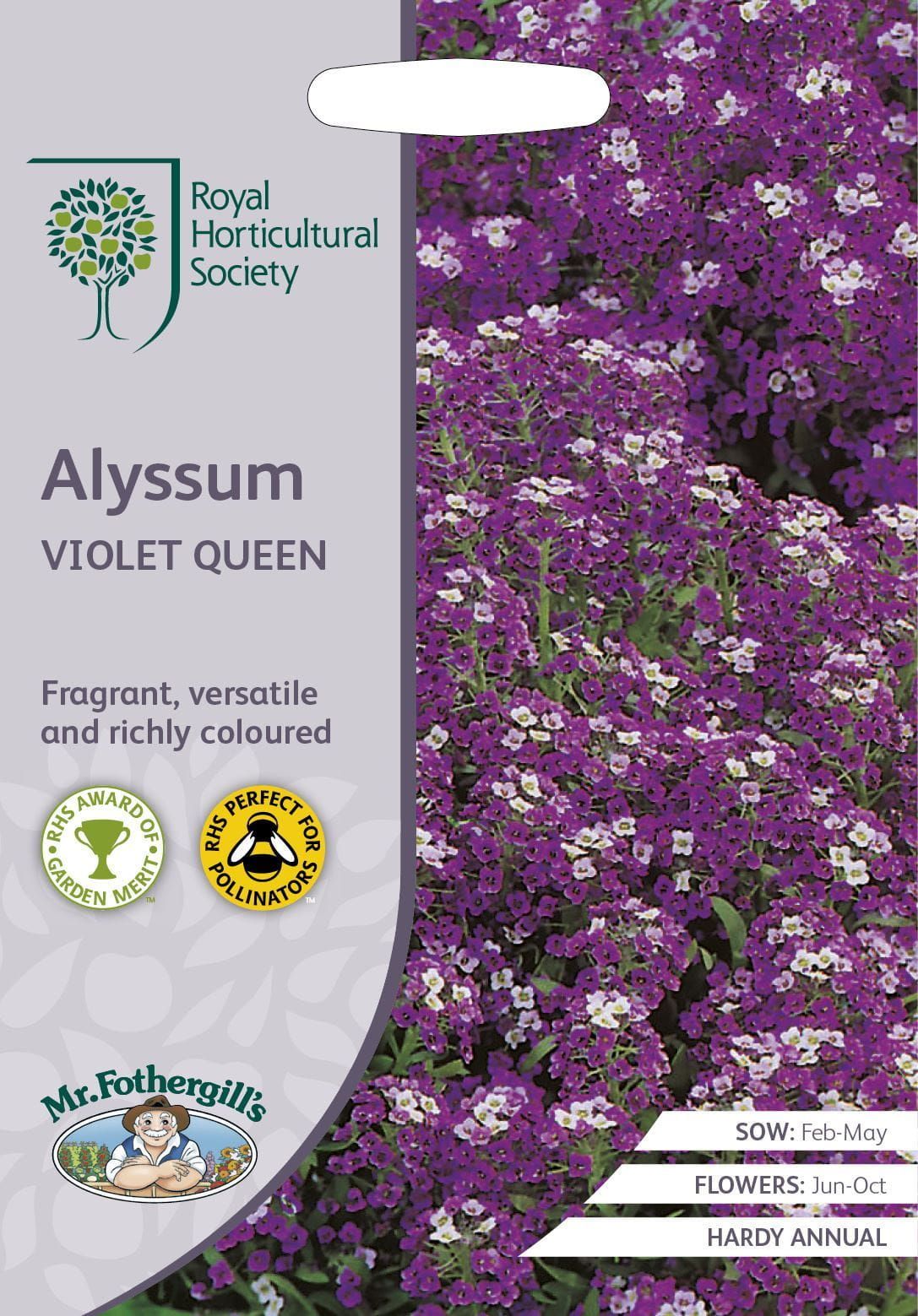 Mr Fothergills RHS Alyssum Violet Queen 1500 Seeds