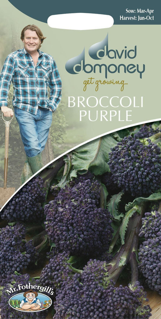 Mr Fothergills - David Domoney - Vegetable - Broccoli Sprouting - Summer Purple - 150 Seeds