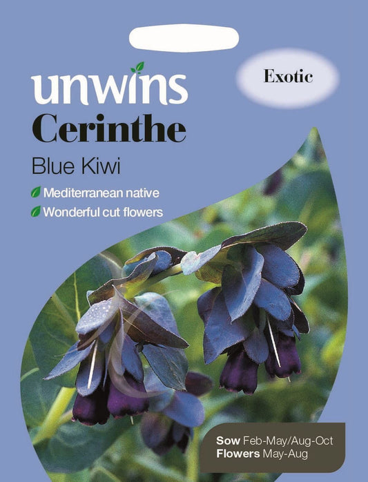 Unwins Cerinthe Blue Kiwi 30 Seeds