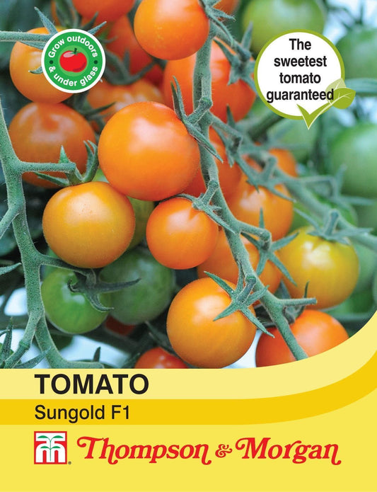 Thompson & Morgan Tomato Sungold F1 Hybrid 10 Seed