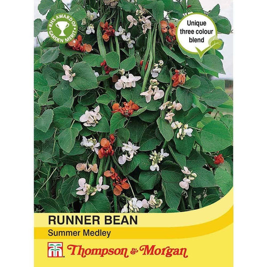 Thompson & Morgan Runner Bean Summer Medley 30 Seed