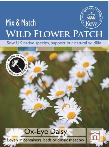 Thompson & Morgan Kew Wild Flower Patch OxEye Daisy 1000 Seeds