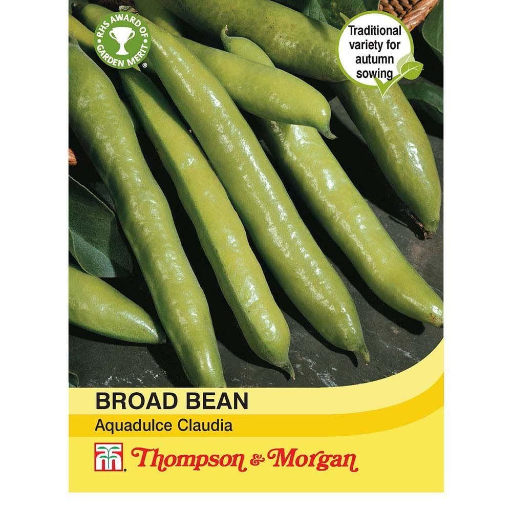 Thompson & Morgan Broad Bean Aquadulce Claudia 30 Seed