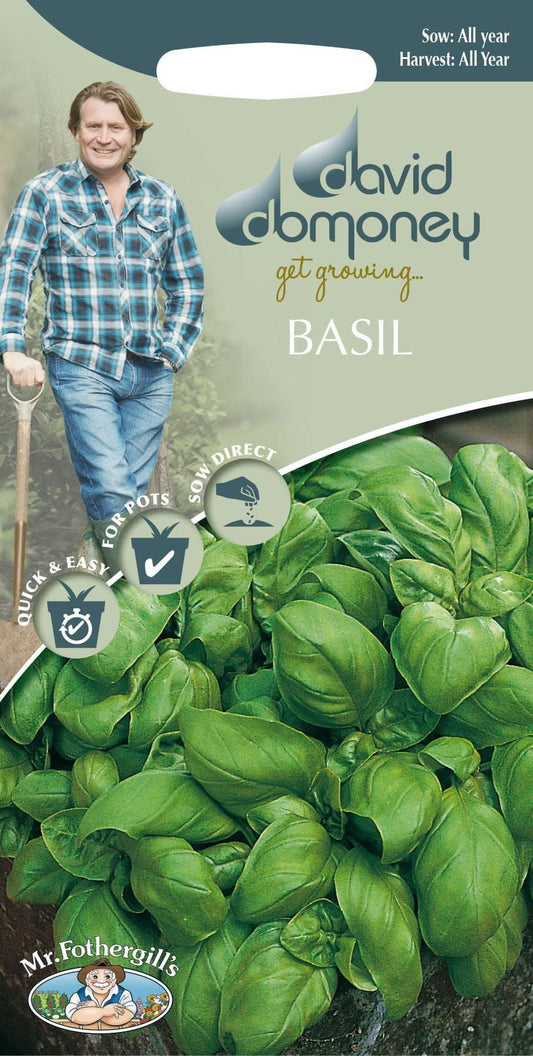 Mr Fothergills - Herb - David Domoney Basil Sweet - 650 Seeds