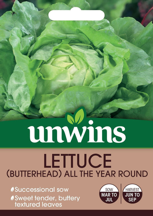 Unwins Lettuce (Butterhead) All The Year Round 1300 Seeds