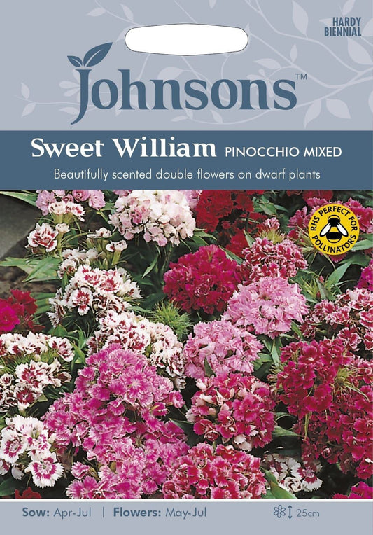 Johnsons Sweet William Dwarf Double Pinocchio Mixed 500 Seeds