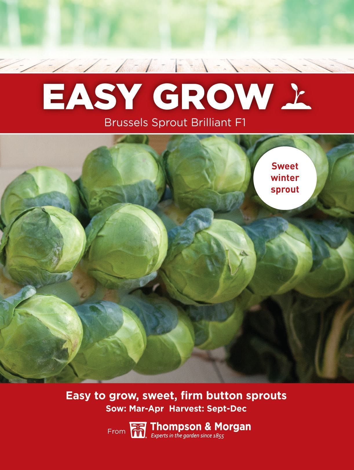 Thompson & Morgan - EasyGrow - Vegetable - Brussels Sprout - Brilliant - 11 Seeds
