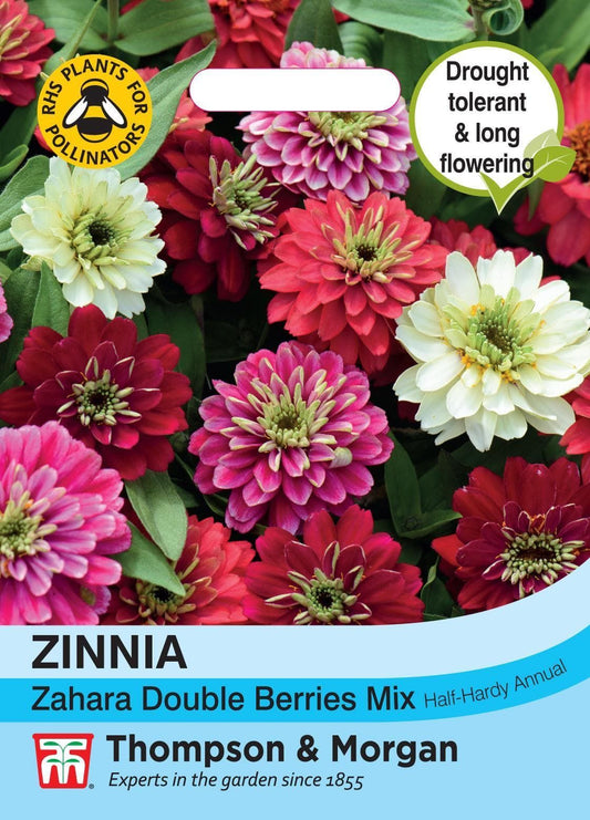 Thompson & Morgan Flower Zinnia Zahara Double Berries Mix - 20 Seeds