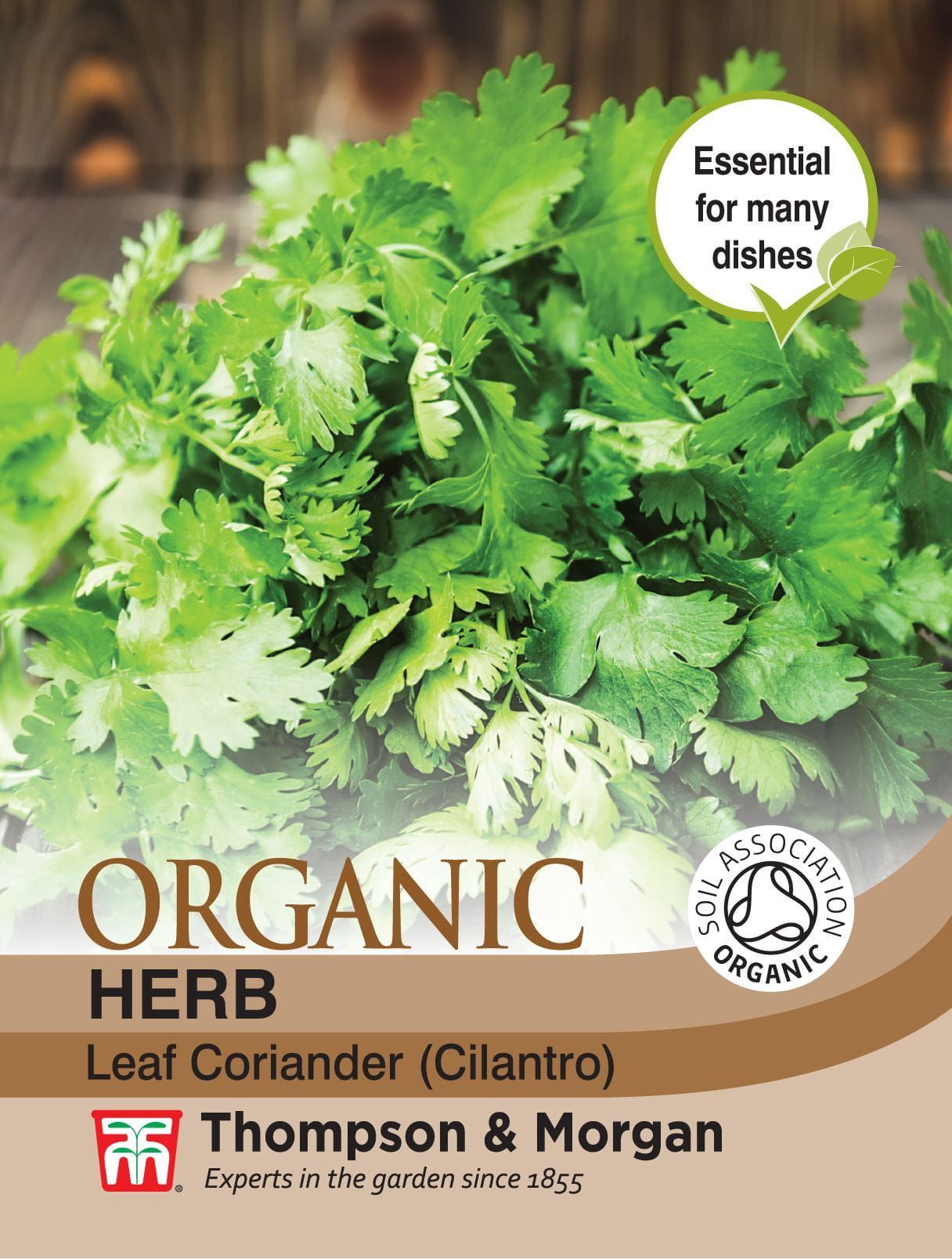 Thompson & Morgan - Organic - Herb - Coriander - 125 Seeds