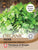 Thompson & Morgan - Organic - Herb - Coriander - 125 Seeds
