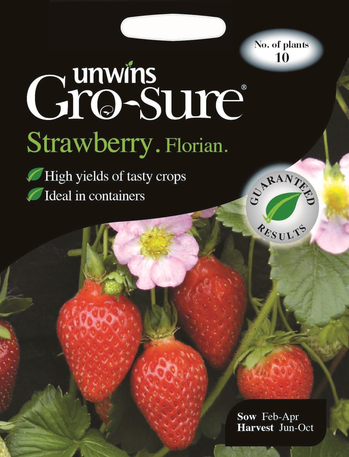 Unwins Fruit Strawberry Florian F1 10 Seeds