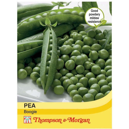 Thompson & Morgan Pea Boogie 250 Seed
