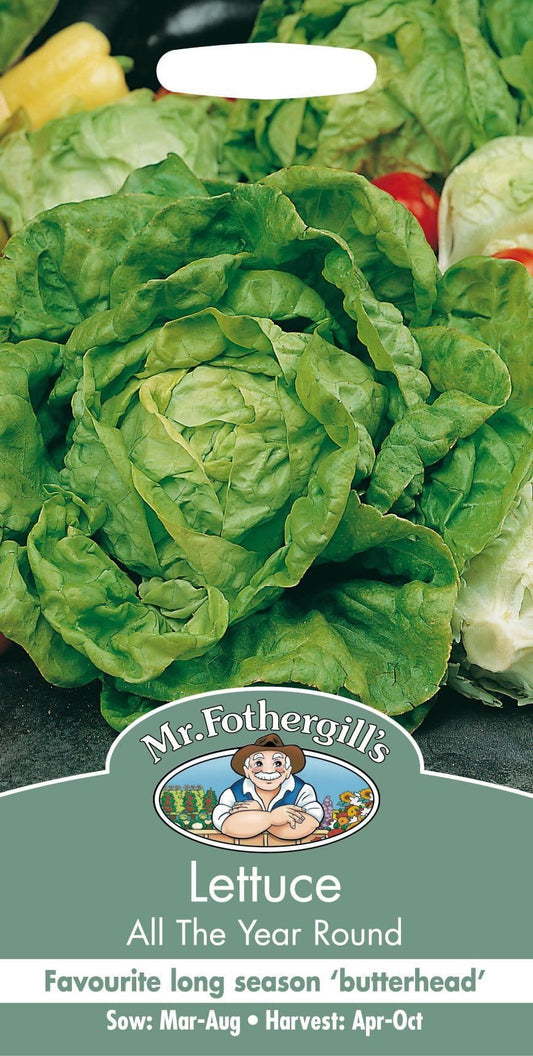 Mr Fothergills Lettuce All The Year Round 1250 Seed